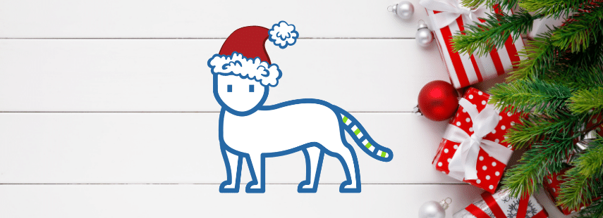 Team CustomCat’s Tips for Ruling the Holidays in 2020
